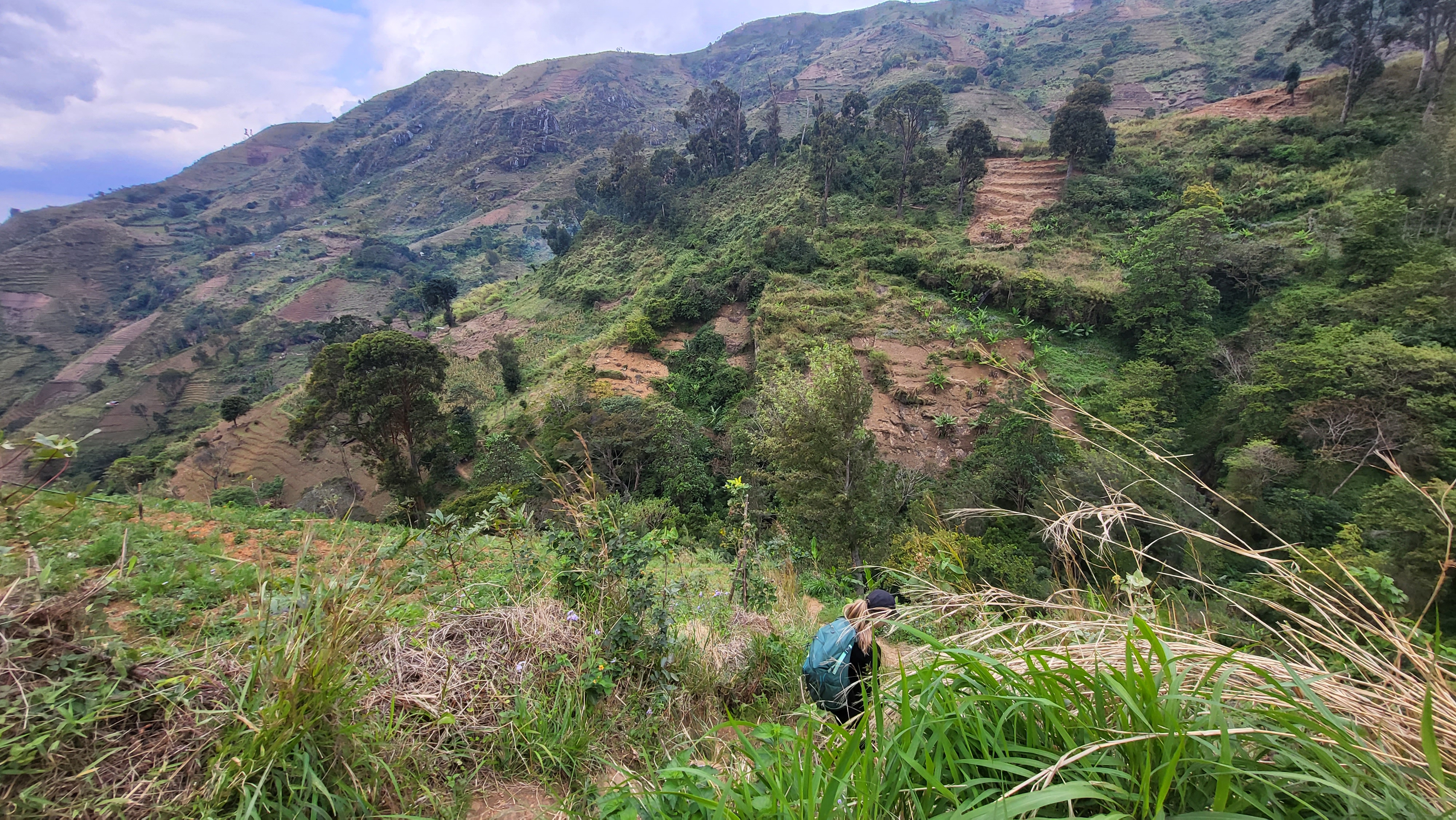 Erosion visible in agriculture.jpg